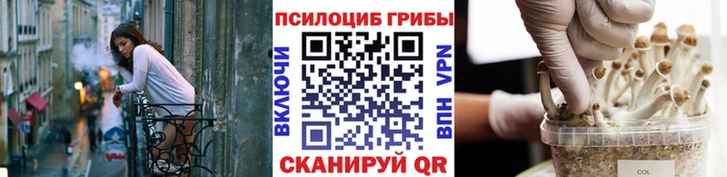 даркнет сайт  Дыгулыбгей  Псилоцибиновые грибы Psilocybine cubensis 